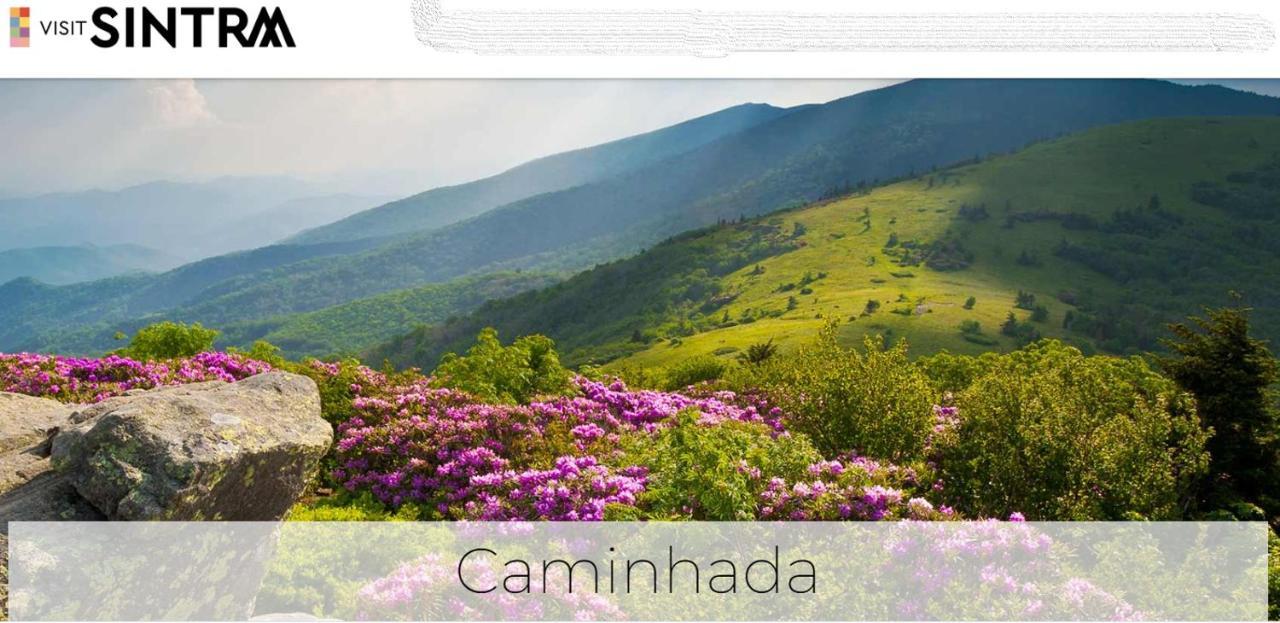 Sintra Lousa エクステリア 写真